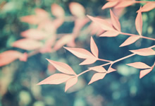 礼品公司建线上商城的4个原因