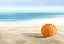 搭建“智慧食堂”,解决企业食堂餐补传统难题