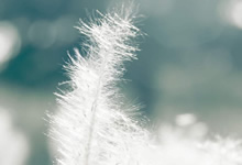 员工福利商城,到底有什么用?